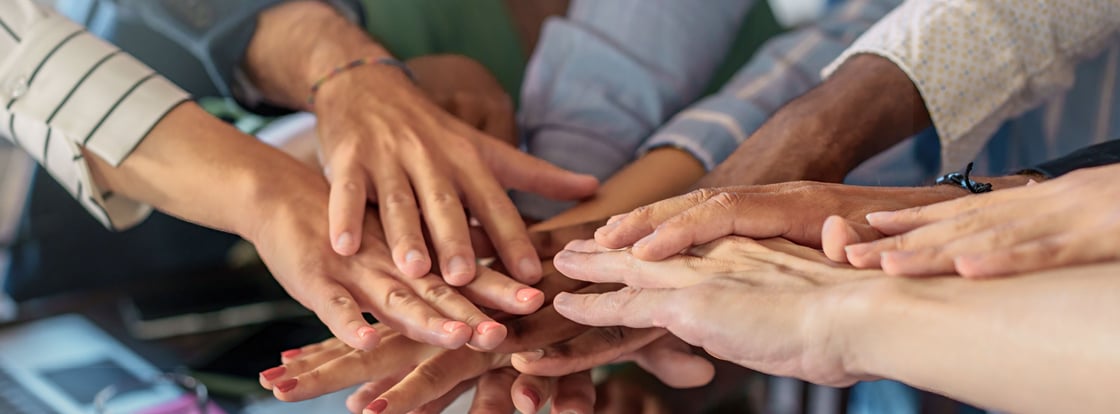 Shutterstock_2403545877 cropped