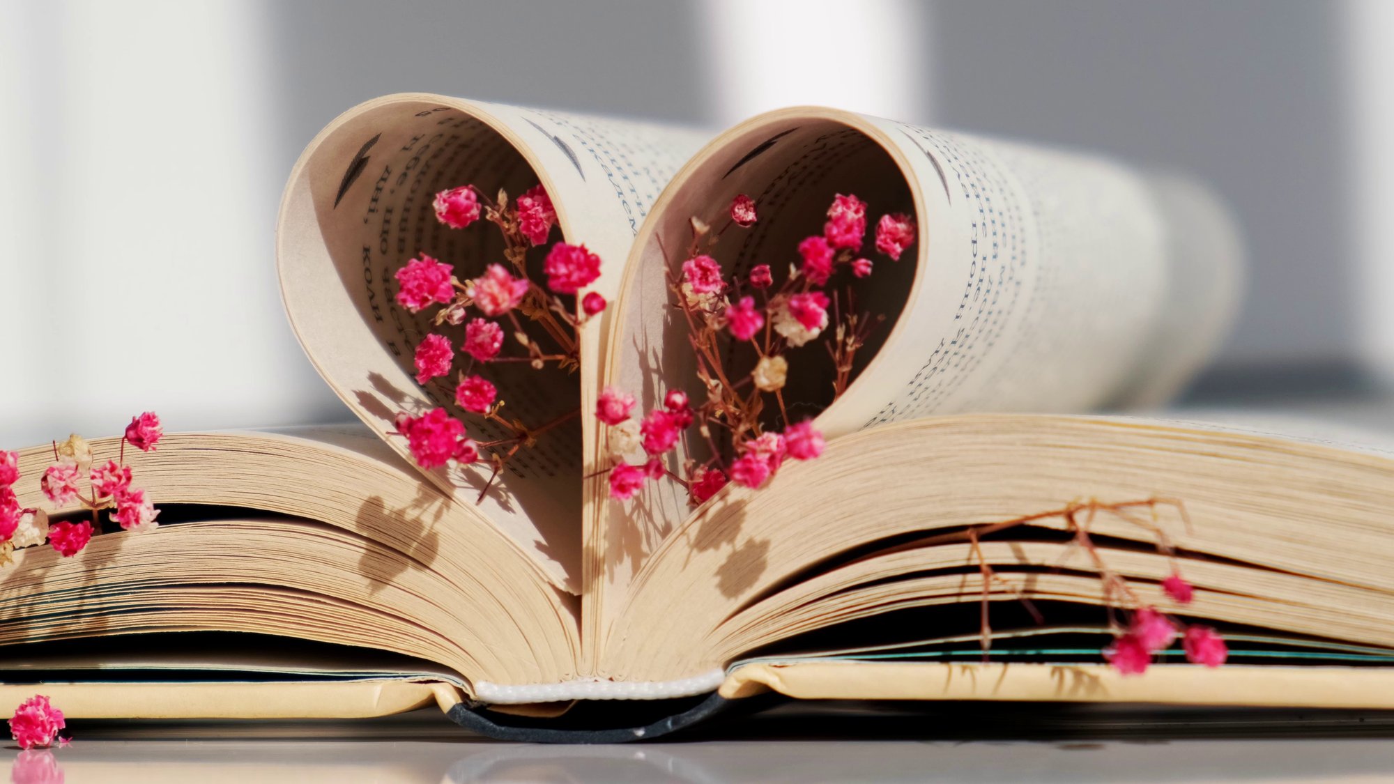 book-pages-folded-into-a-heart-and-pink-flower-soft-focus-deliberate-slight-blurring-d-SBI-349576172